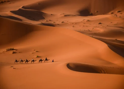 Sahara Desert Guide – Journey New Through Morocco’s Enchanting Dunes