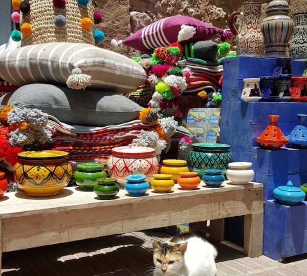 Marrakech travel expert