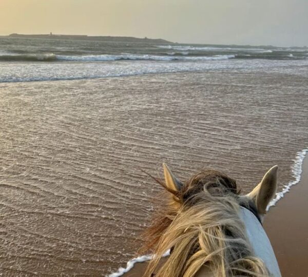 Morocco trekking agency Marrakech