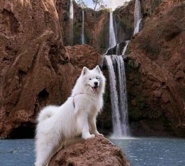 Morocco cultural tours