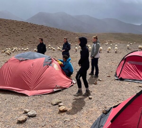 Essaouira tour from Marrakech