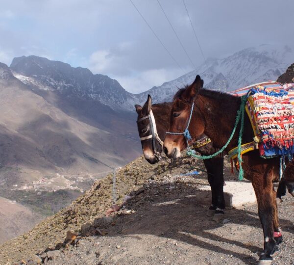 Morocco expedition tours